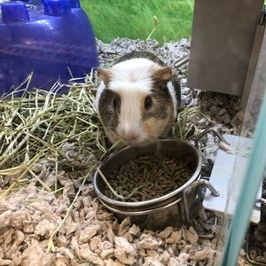 Meet your Posher, Krystal